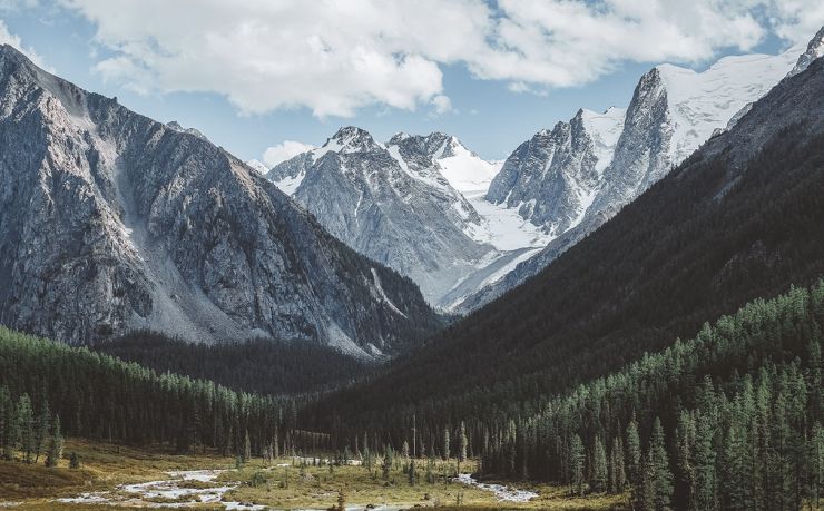 土耳其移民项目咨询公司