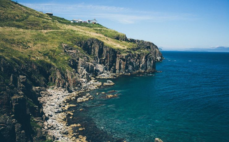 【2024突发】墨西哥移民通道凌晨开放，50个名额3小时抢空！无中介费、无加价，直抵墨西哥城